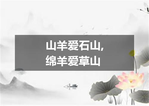 山羊爱石山,绵羊爱草山