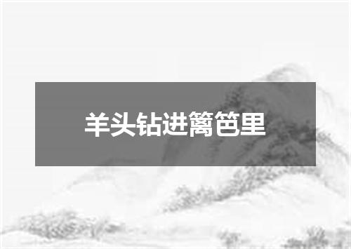 羊头钻进篱笆里