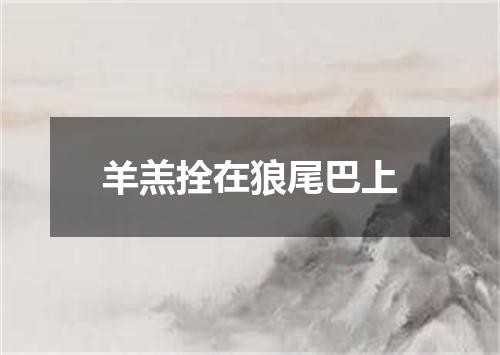 羊羔拴在狼尾巴上