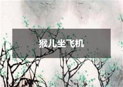 猴儿坐飞机
