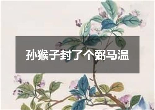 孙猴子封了个弼马温