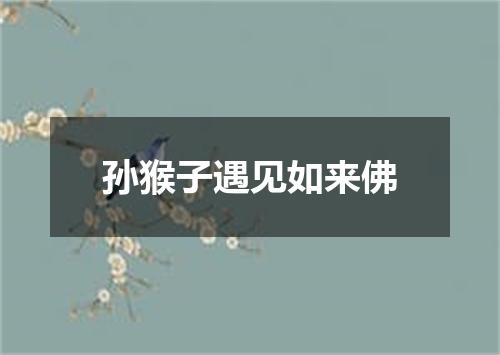 孙猴子遇见如来佛