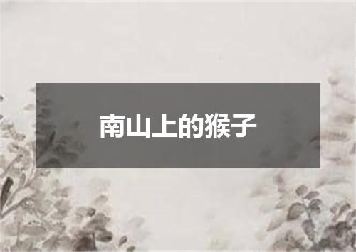 南山上的猴子