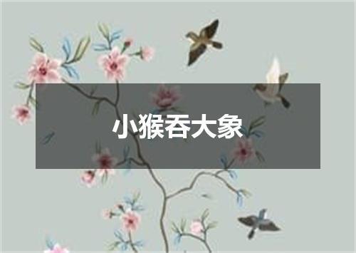 小猴吞大象