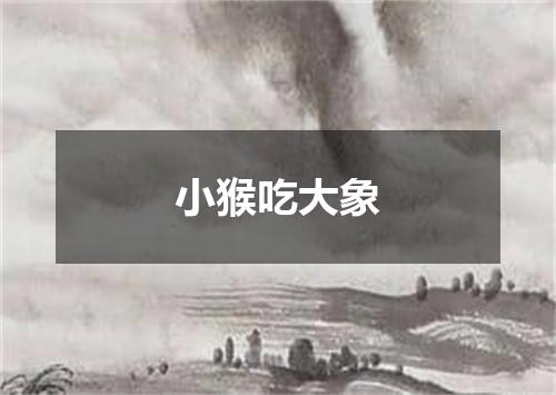 小猴吃大象