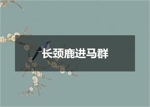 长颈鹿进马群
