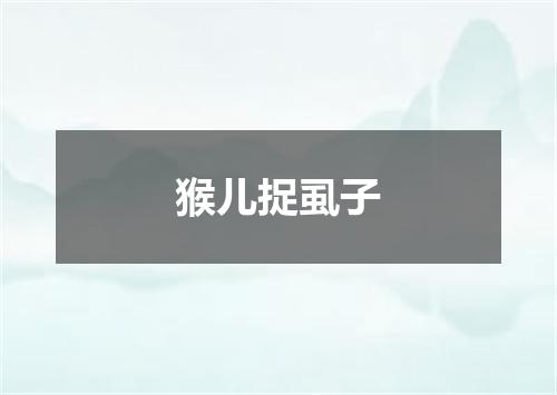 猴儿捉虱子