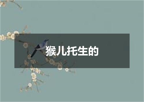 猴儿托生的