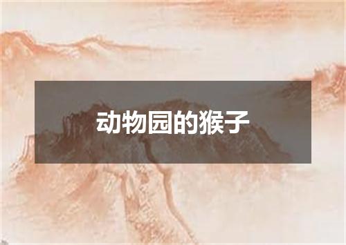 动物园的猴子