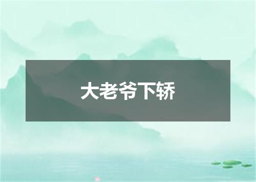 大老爷下轿