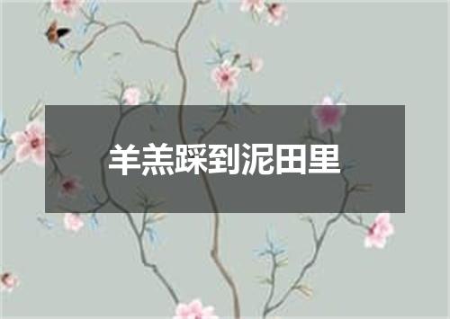 羊羔踩到泥田里