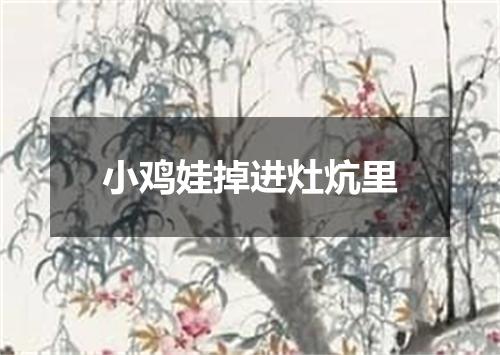 小鸡娃掉进灶炕里