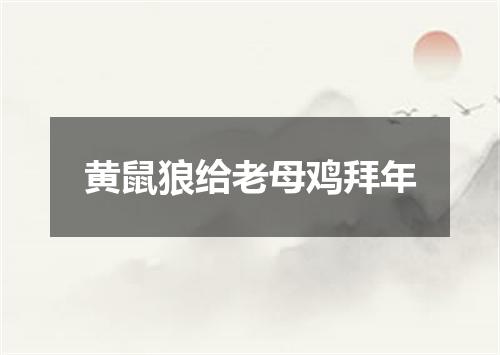 黄鼠狼给老母鸡拜年