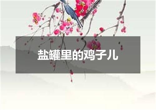 盐罐里的鸡子儿