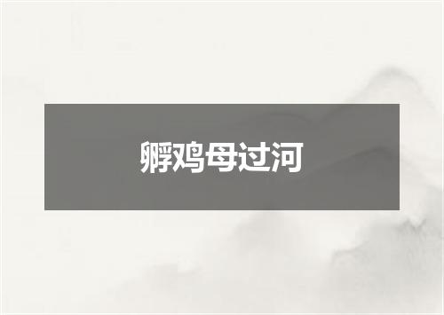 孵鸡母过河