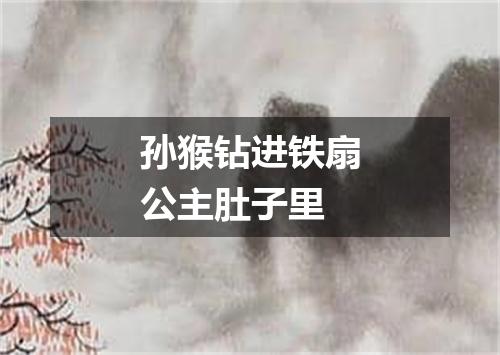 孙猴钻进铁扇公主肚子里