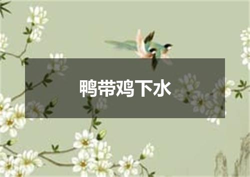 鸭带鸡下水