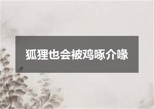 狐狸也会被鸡啄介喙