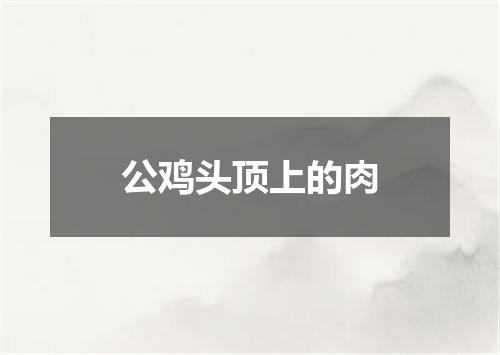 公鸡头顶上的肉