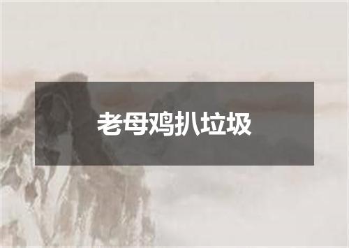 老母鸡扒垃圾