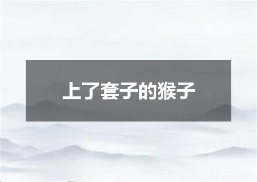 上了套子的猴子