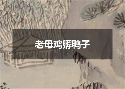 老母鸡孵鸭子