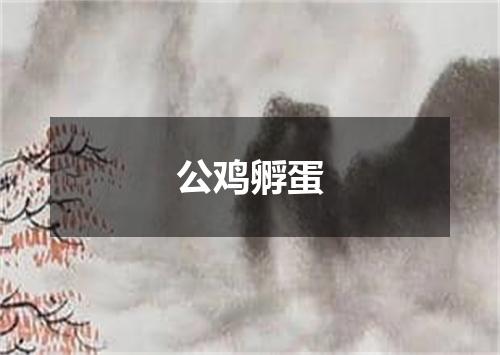 公鸡孵蛋