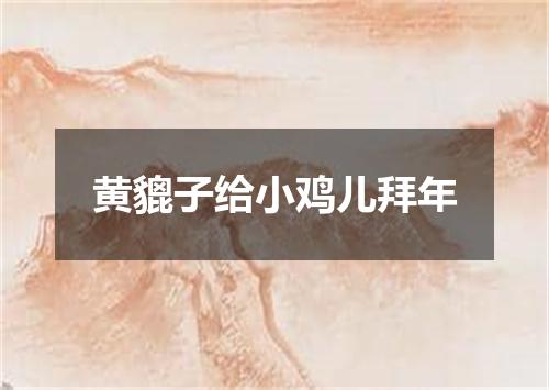 黄貔子给小鸡儿拜年