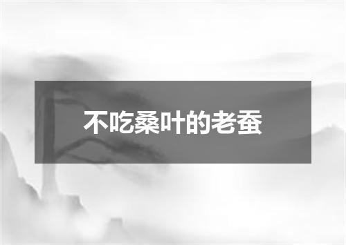 不吃桑叶的老蚕