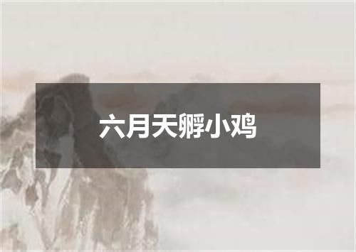 六月天孵小鸡