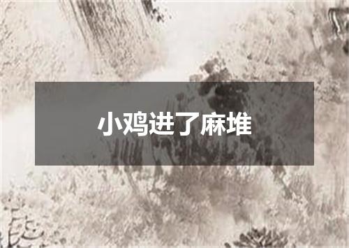 小鸡进了麻堆