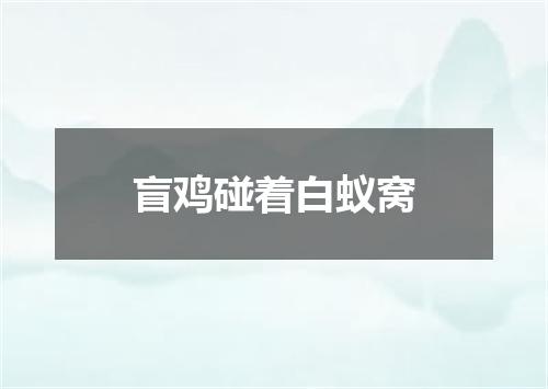 盲鸡碰着白蚁窝