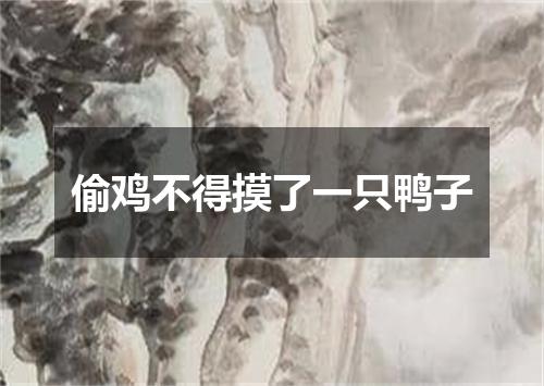 偷鸡不得摸了一只鸭子