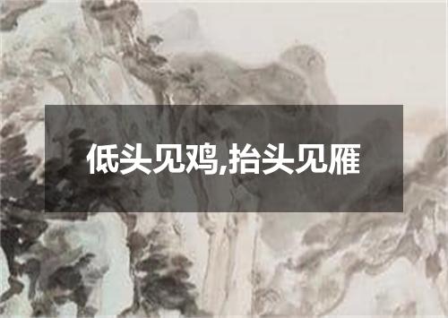 低头见鸡,抬头见雁