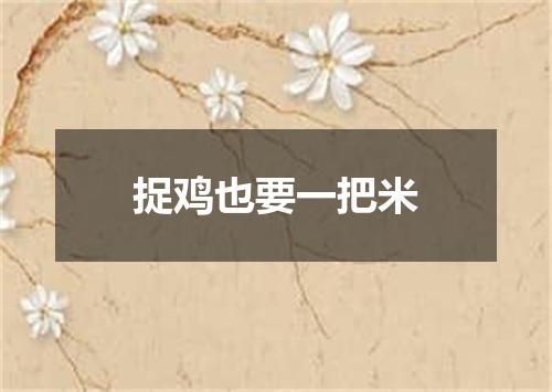 捉鸡也要一把米