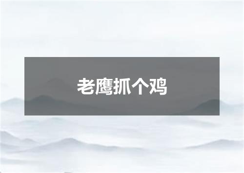 老鹰抓个鸡