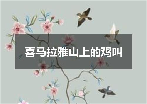喜马拉雅山上的鸡叫