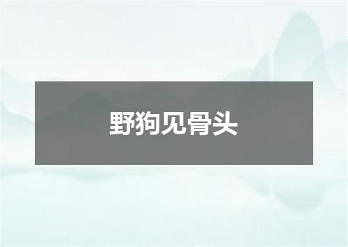 野狗见骨头