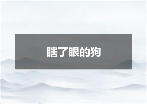 瞎了眼的狗