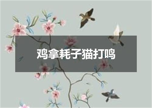 鸡拿耗子猫打鸣