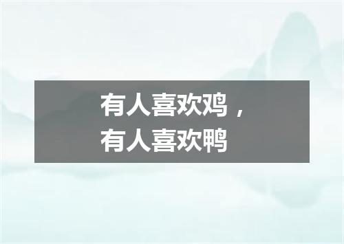 有人喜欢鸡，有人喜欢鸭