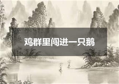 鸡群里闯进一只鹅