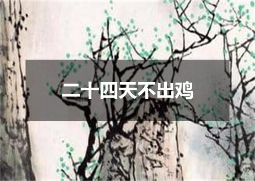 二十四天不出鸡