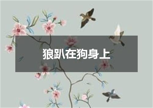 狼趴在狗身上