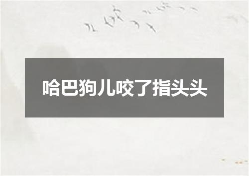 哈巴狗儿咬了指头头
