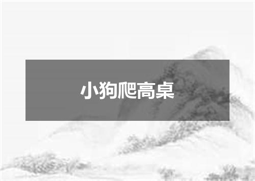 小狗爬高桌