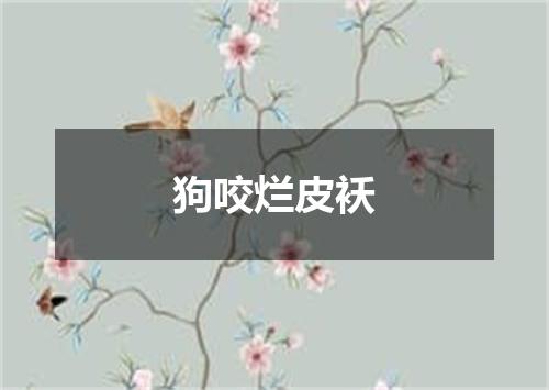 狗咬烂皮袄