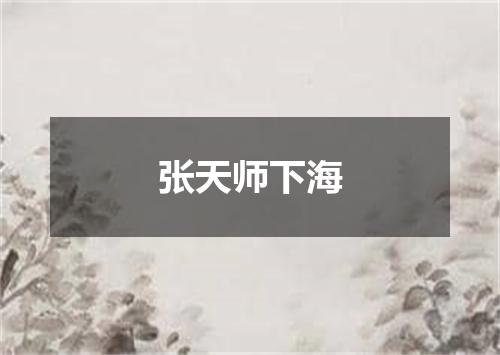 张天师下海