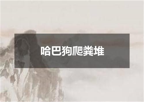 哈巴狗爬粪堆