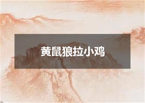 黄鼠狼拉小鸡